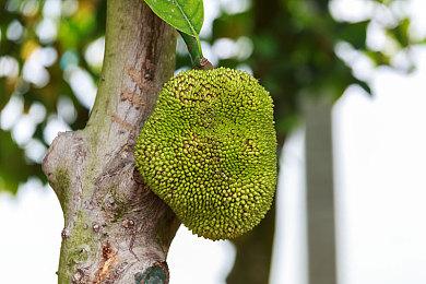 生软料到《龙腾世纪4》有差评 但没想到如此糟糕